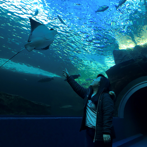 Foto de perfil de Renata