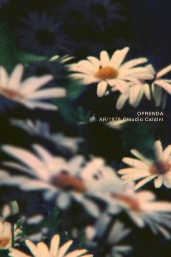 Poster de Curta Ofrenda (1978)