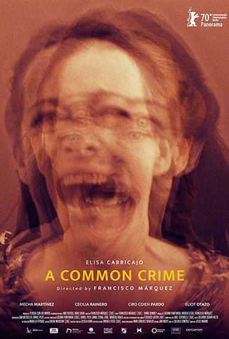 Poster 1 de Filme Um Crime Em Comum (2020)