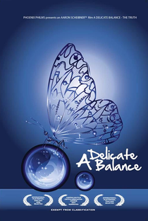 A Delicate Balance: The Truth - Poster / Capa / Cartaz - Oficial 1