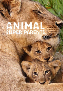 Animal Super Parents (Animal Super Parents)