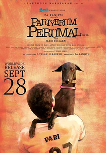 Pariyerum Perumal (Pariyerum Perumal BA.BL)