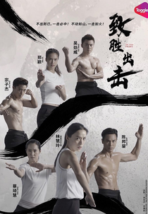 The Good Fight (致胜出击)