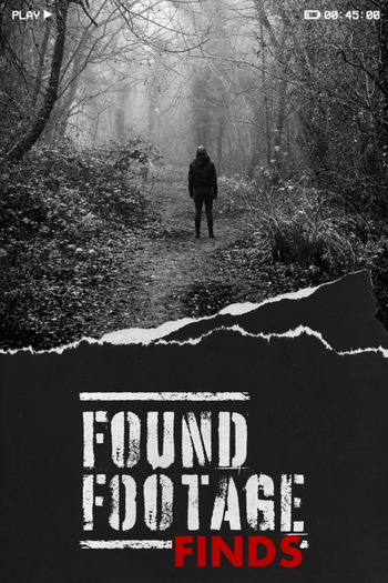 Poster de Franquia Found Footage Finds (2025)