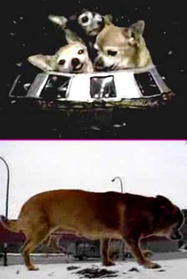 O Ataque dos Chihuahuas de 15 Metros do Espaço Sideral - Poster / Capa / Cartaz - Oficial 1