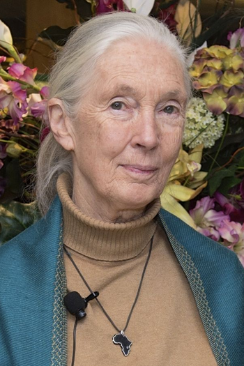  de Filme Jane: a Mãe dos Chimpanzés (2017)