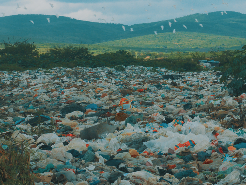 Foto 2 de Feira é Brasil