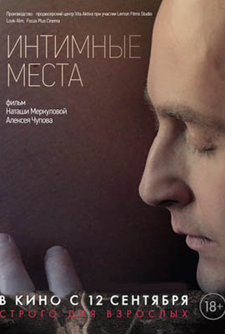 Poster 2 de Filme Intimate Parts (2013)