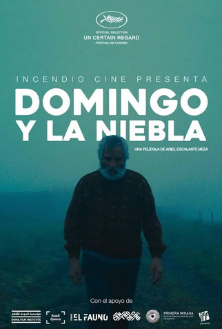Poster 1 de Filme Domingo e a Neblina (2022)