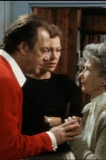 Poster de Episódio Vaterschaft (1985)