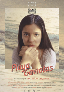 Playa Gaviotas (Playa Gaviotas)