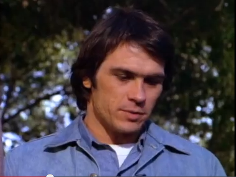 Foto 2 de As Panteras