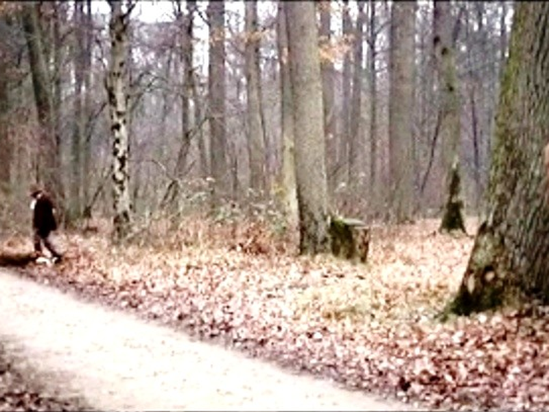 Foto 2 de Justine de Sade