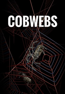 Cobwebs (Cobwebs)