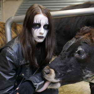 Foto de perfil de Metalhead