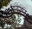 Welcome to Spiderwick