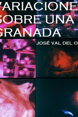 Variações sobre uma romã (Variaciones sobre una Granada)