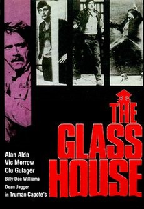 O Sistema (The Glass House)