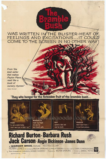 Poster de Filme Espinhos na Carne (1960)