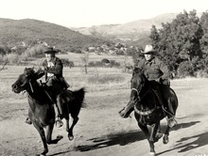 Foto 3 de O Terror do Arizona