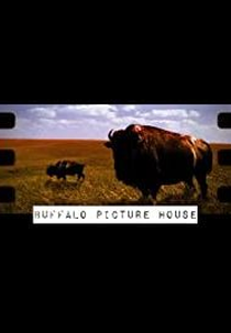 Frequent Flyers (Frequent Flyers)