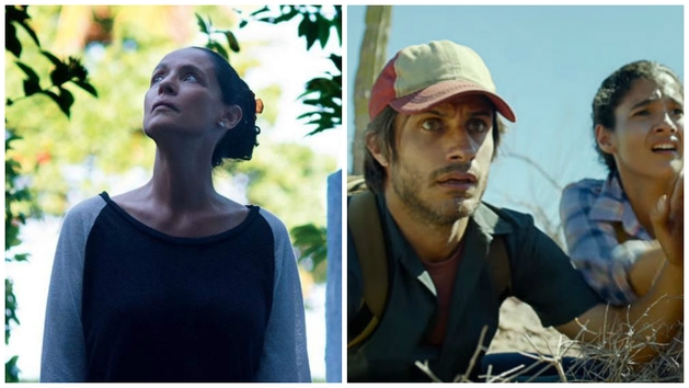 Festival de Havana | Sonia Braga vence prêmio de melhor atriz e Deserto prêmio de melhor filme