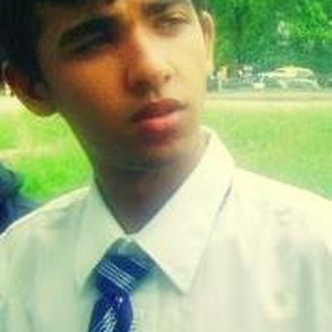 Foto de perfil de Rafael Amorim