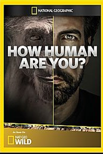 Quão Humano Você É? - Poster / Capa / Cartaz - Oficial 1