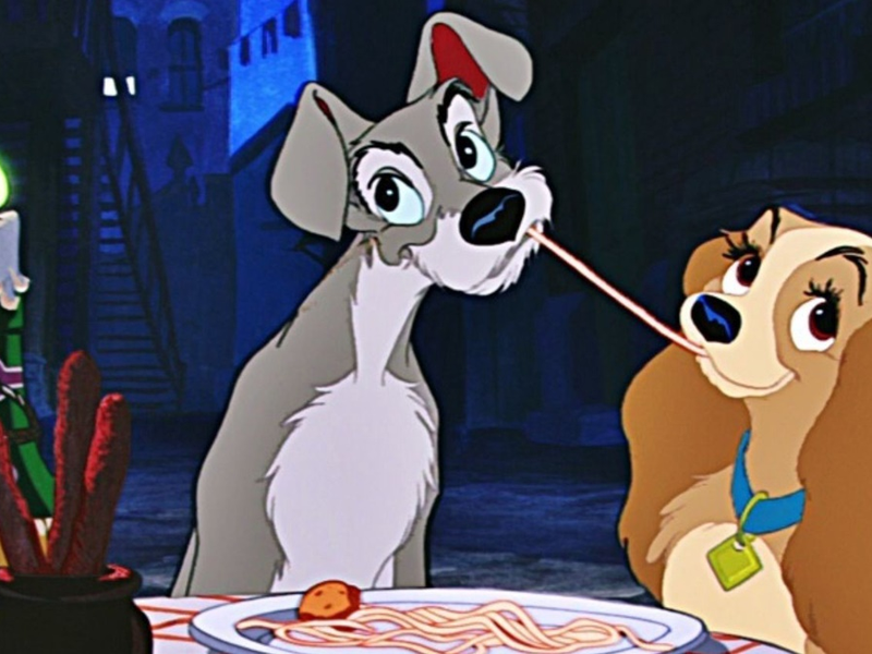 Foto 1 de A Dama e o Vagabundo