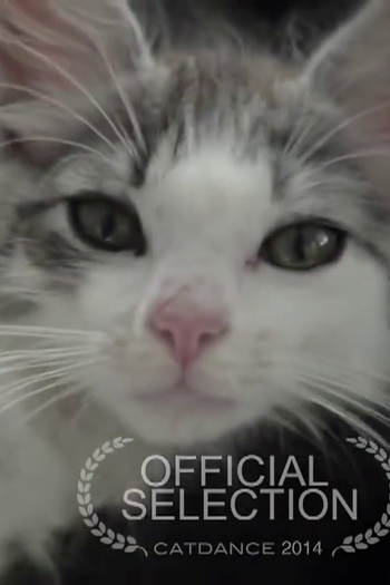 Poster de Curta Ricky (2014)