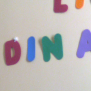 Foto de perfil de Dinalice Castro