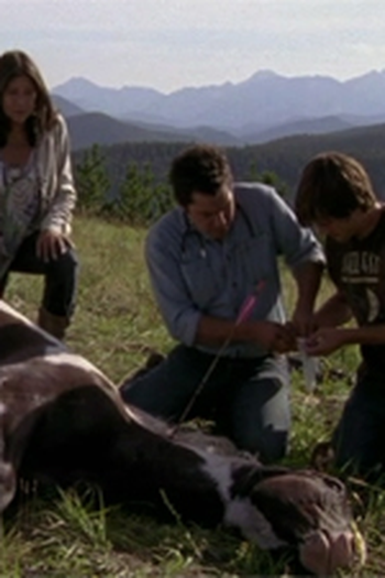 Poster de Episódio Broken Arrow (2009)