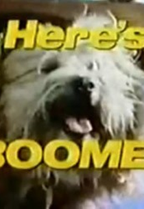 Boomer (1ª Temporada) (Here's Boomer (1st Season))