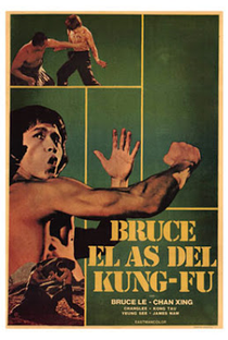 Bruce and Shaolin Kung Fu - Poster / Capa / Cartaz - Oficial 2