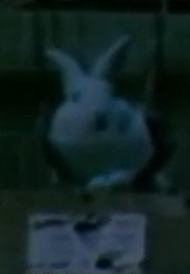 Canada: Part of the Pain (Canada: Part of the Pain)