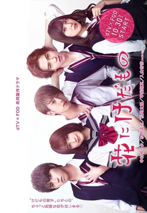 Hana ni Kedamono (花 に け だ も の)