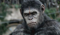 Cinema: Planeta dos Macacos - O Confronto