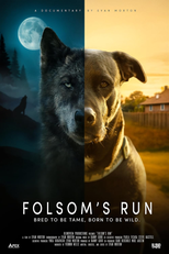 Folsom's Run (Folsom's Run)