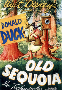 A Velha Sequoia (Old Sequoia)