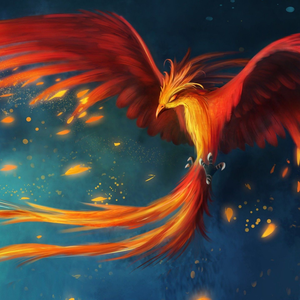 Foto de perfil de Phoenix
