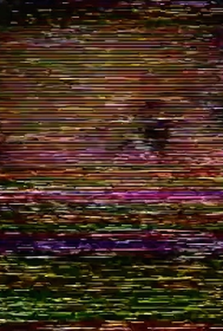 Poster 1 de Curta Curta Memória (2016)