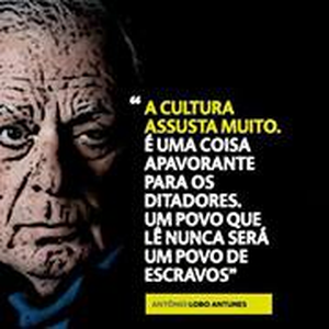 Foto de perfil de Guilherme