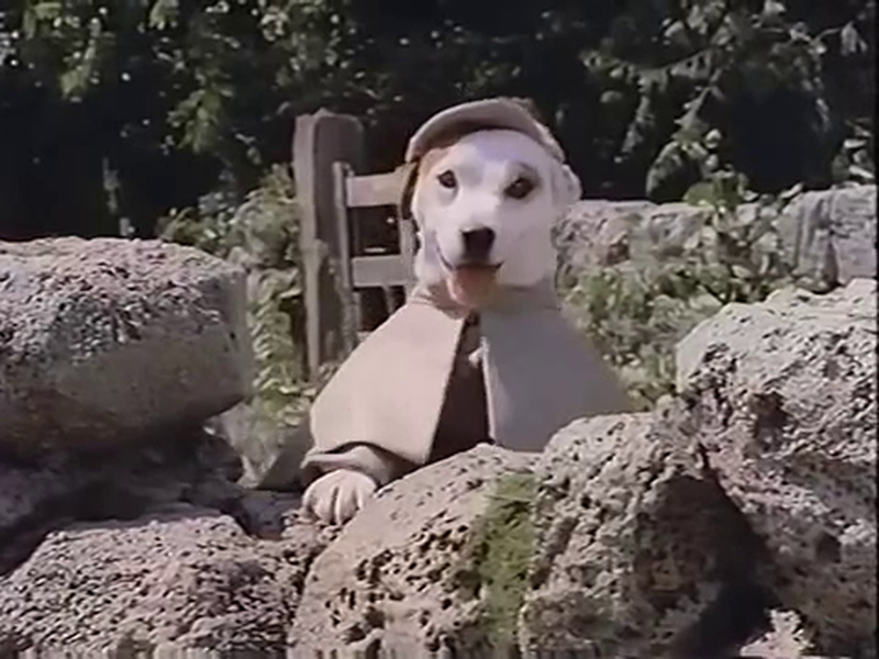 Foto 5 de The Slobbery Hound by Wishbone