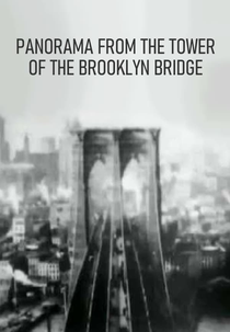 Panorama from the Tower of the Brooklyn Bridge (Panorama from the Tower of the Brooklyn Bridge)