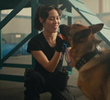 K9: The Rext Generation