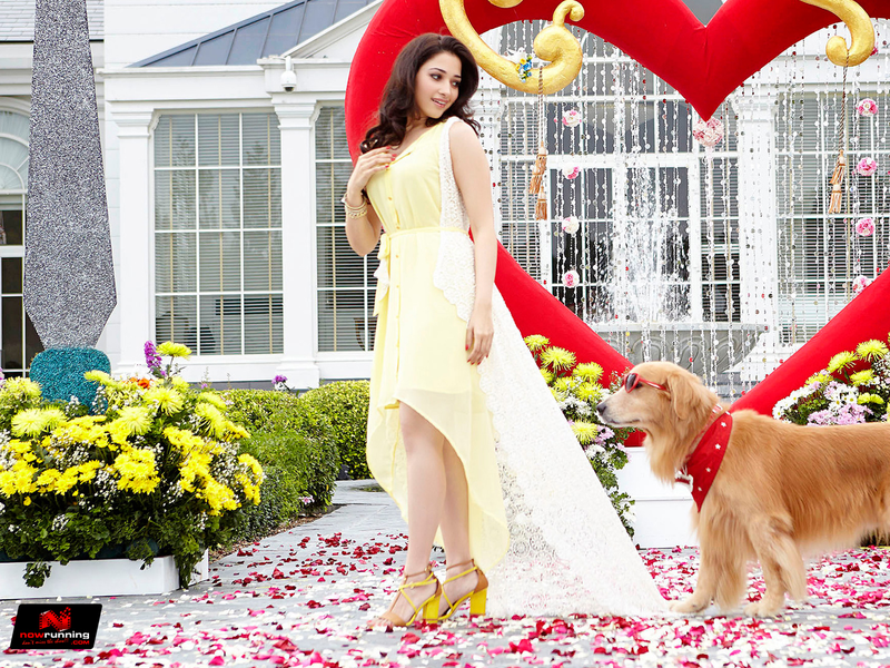 Foto 25 de Entertainment