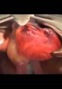 Curiosidade - Como Funcionam as Drogas (Curiosidade - Como Funcionam as Drogas)