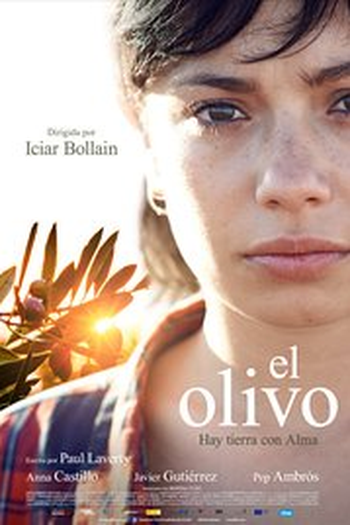  de Filme A Oliveira (2016)