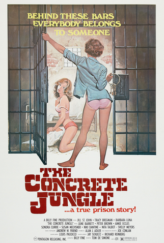 Poster 3 de Filme Confidências de uma Prisioneira Americana (1982)