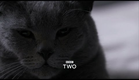 The Secret Life of the Cat: Trailer - Horizon - BBC Two